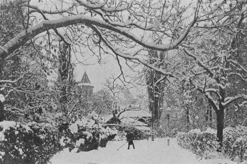 Neuchatel, The English Garden (foto a p/b) de Swiss Photographer