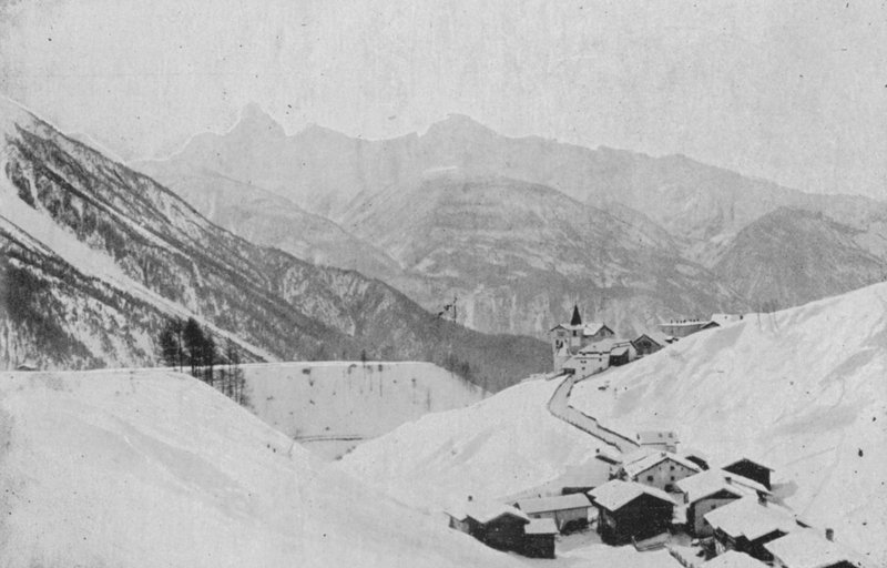 Meadows pres Davos (foto a p/b) de Swiss Photographer