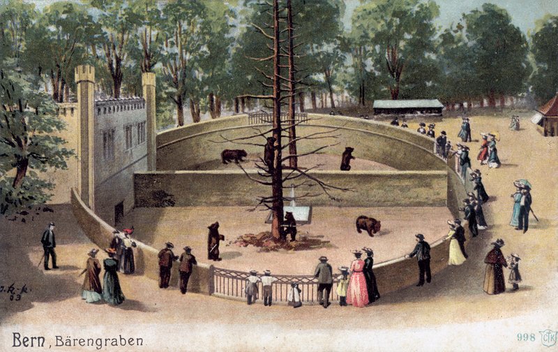 Berna, Bear Garden (cor litho) de Swiss School