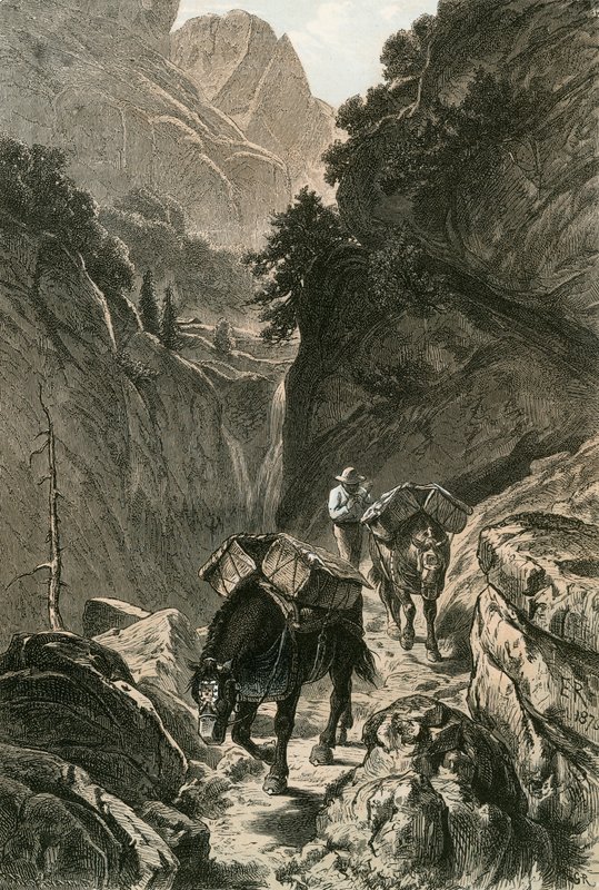 Cavalos de carga atravessando um passo de montanha de Swiss School