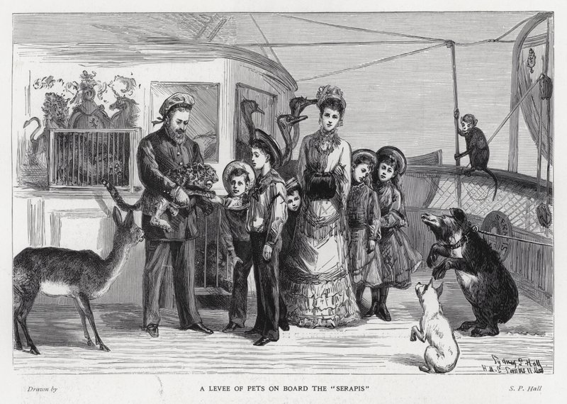 O Rei Eduardo VII com animais selvagens capturados a bordo da tropa, os Serapis, na sua visita à Índia. de Sydney Prior (after) Hall