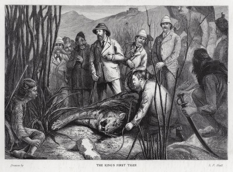 Rei Eduardo VII com o tigre que ele matou (litho) de Sydney Prior (after) Hall