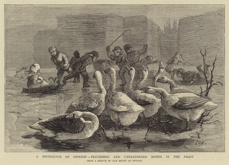 Uma diferença de opinião, bipeds feathered e unfeathered na geada de Sydney Prior Hall