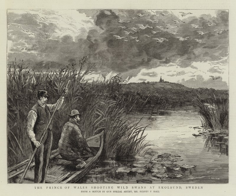 O Príncipe de Gales atirando Cisnes Selvagens em Ekolsund, Suécia de Sydney Prior Hall