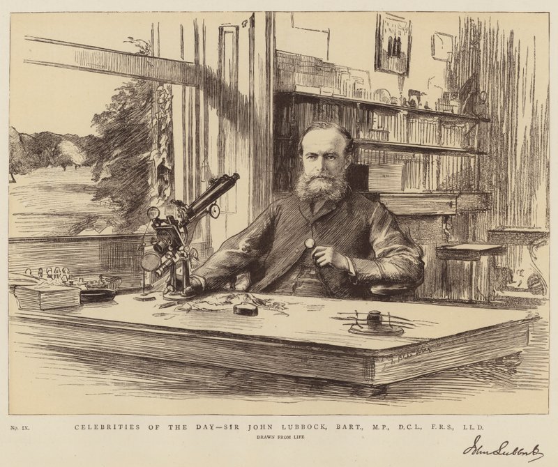 Celebridades do Dia, Sir John Lubbock, Baronete, MP, DCL, FRS, LLD de Theodore Blake Wirgman