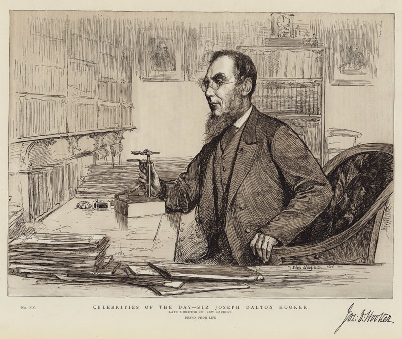 Celebridades do dia, Sir Joseph Dalton Hooker de Theodore Blake Wirgman