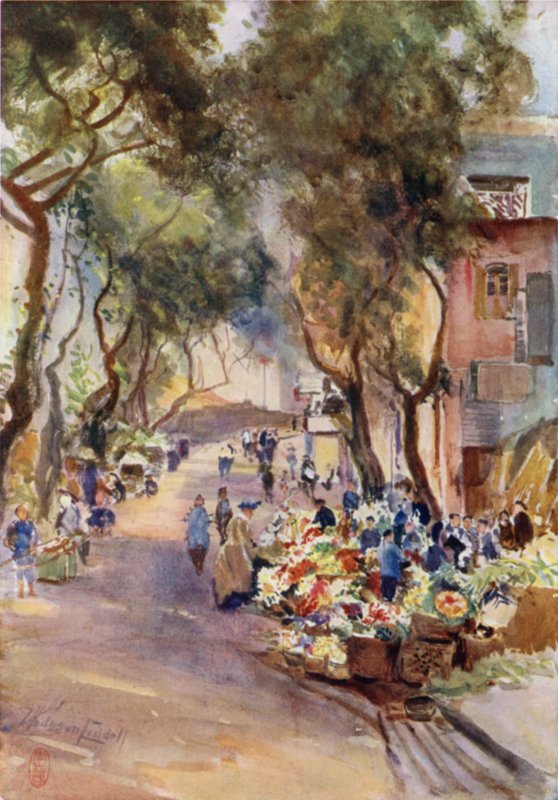 Hong Kong, o mercado de flores de Thomas Hodgson Liddell