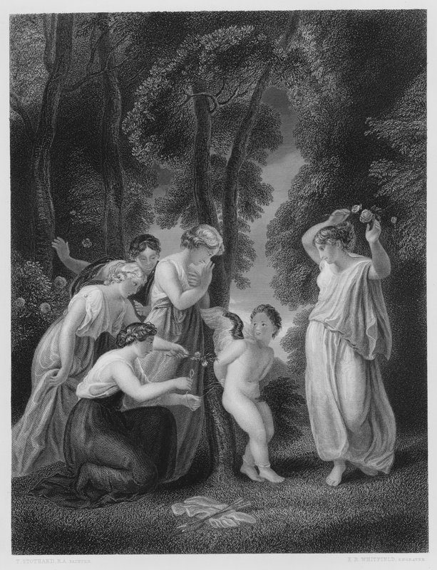 Cupido Encadernado, da foto na Galeria Vernon de Thomas Stothard