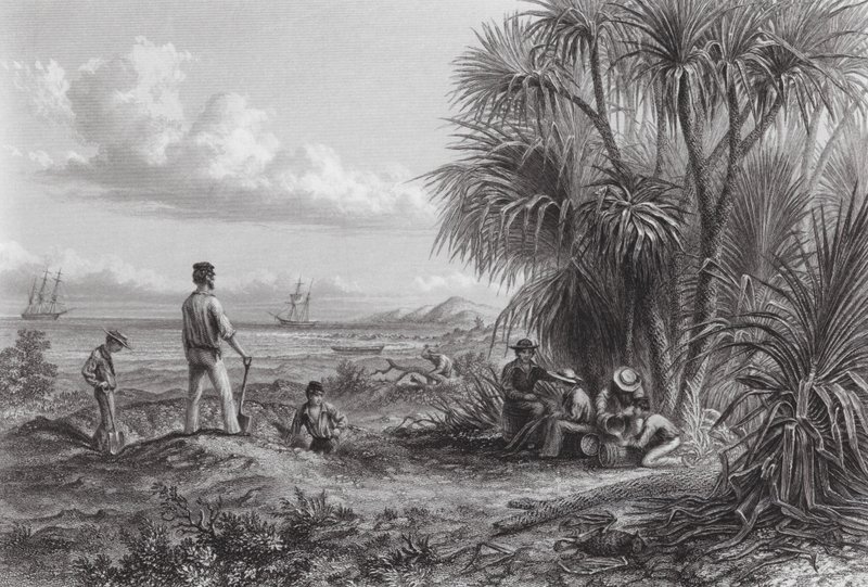 Austrália: Um acampamento de exploradores (gravura) de Thomas (after) Baines