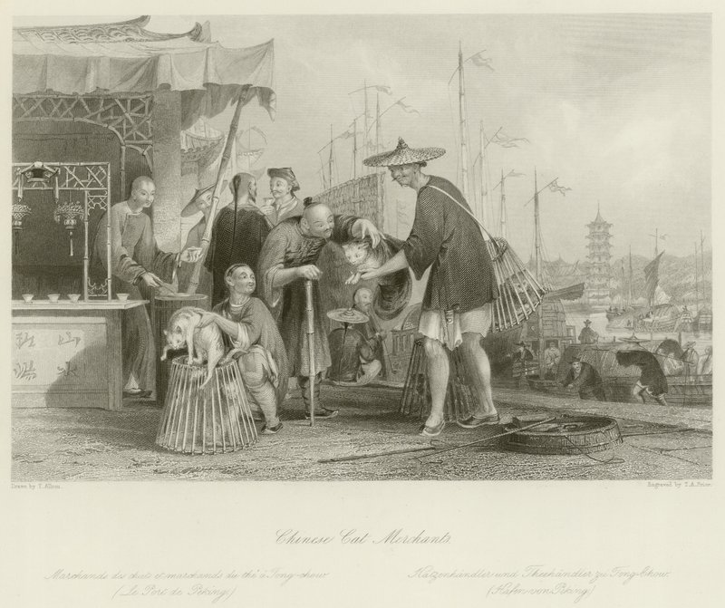 Comerciantes de gatos chineses de Thomas Allom