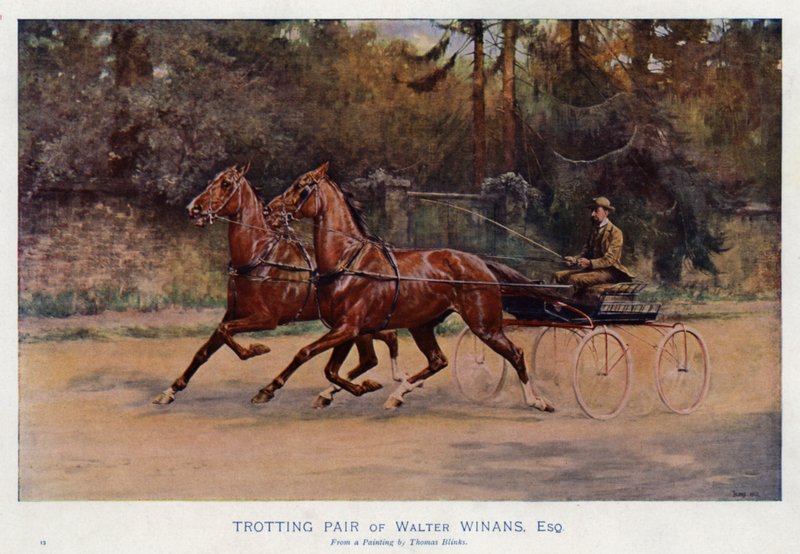 Par trotando de Walter Winans, esquire de Thomas Blinks