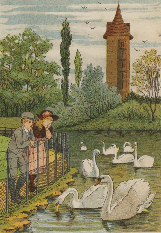 Paris: os cisnes (cor litho) de Thomas Crane
