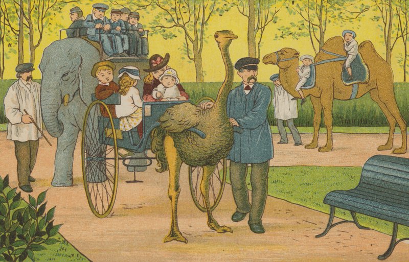 Paris: o jardim zoológico (cor litho) de Thomas Crane