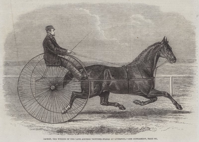 Jackey, o vencedor do final do Aintree Trotting Stakes no Liverpool de Thomas Harrington Wilson