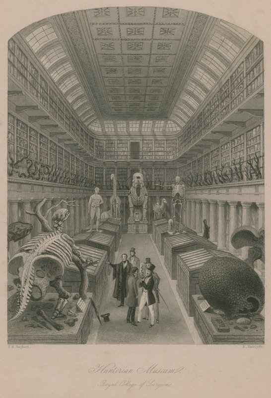 Museu Hunterian, Royal College of Surgeons, Londres de Thomas Hosmer Shepherd