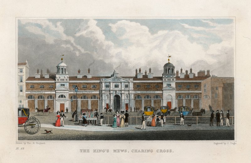 Os reis Mews, Charing Cross. Casa temporária do zoológico de Edward Cross de Thomas Hosmer Shepherd