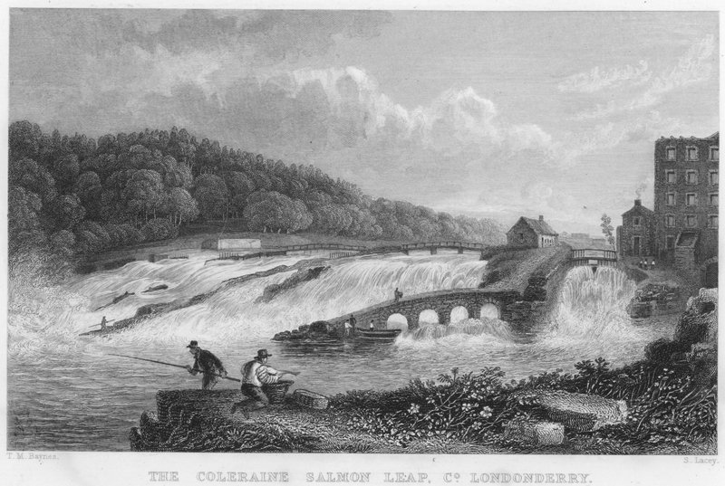 The Coleraine Salmon Leap, County Londonderry (gravura) de Thomas Mann (after) Baynes