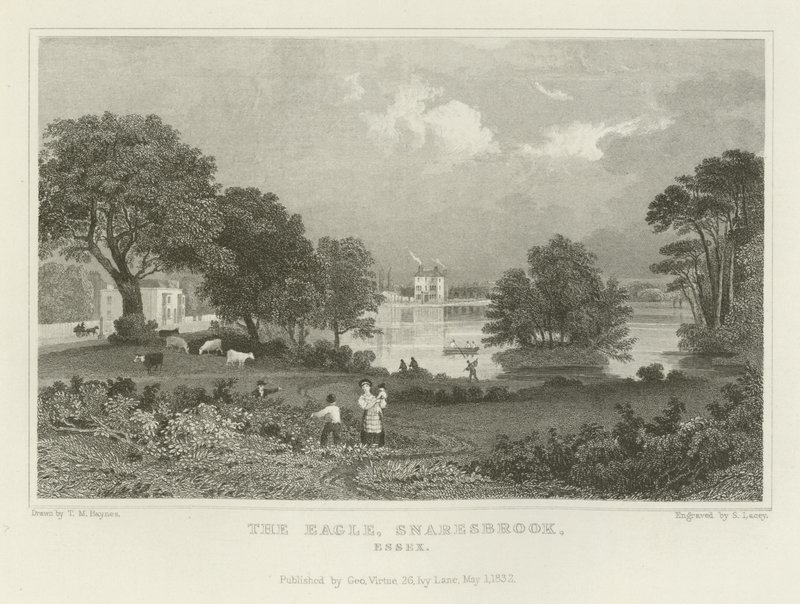 Águia, snaresbrook, essex de Thomas Mann Baynes