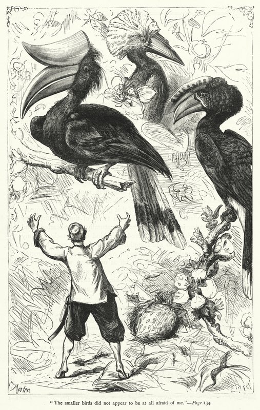 Ilustração para Gullivers Travels de Jonathan Swift (gravura) de Thomas Morten