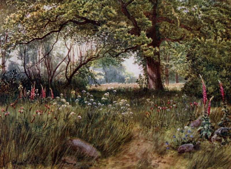 Kew Gardens: Nos Queen