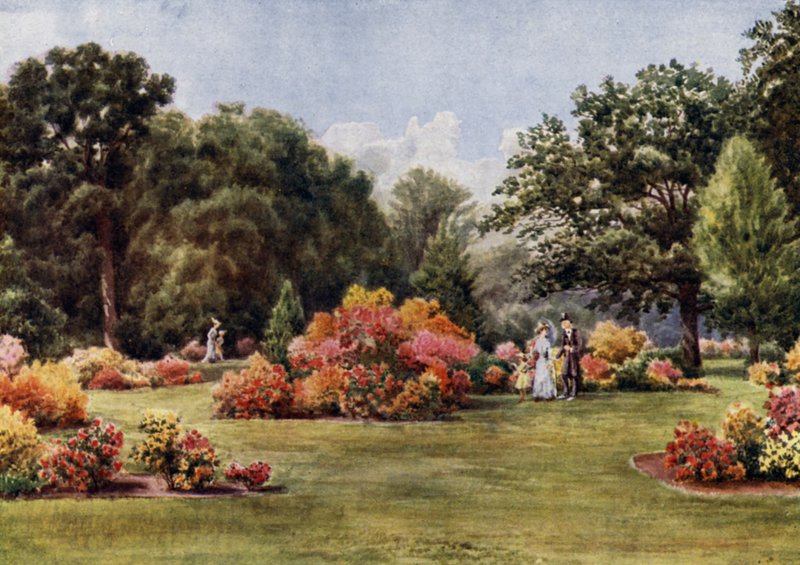 Kew Gardens: As Azaleias (cor litho) de Thomas Mower Martin