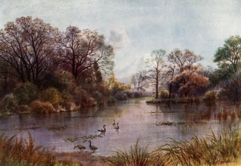 Kew Gardens: O Lago (cor litho) de Thomas Mower Martin