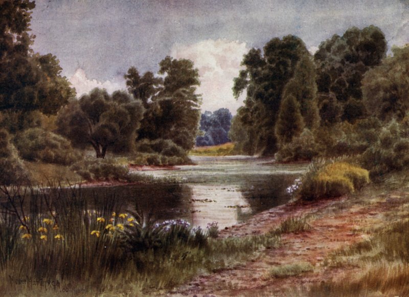Kew Gardens: The Lake, Looking South (cor litho) de Thomas Mower Martin