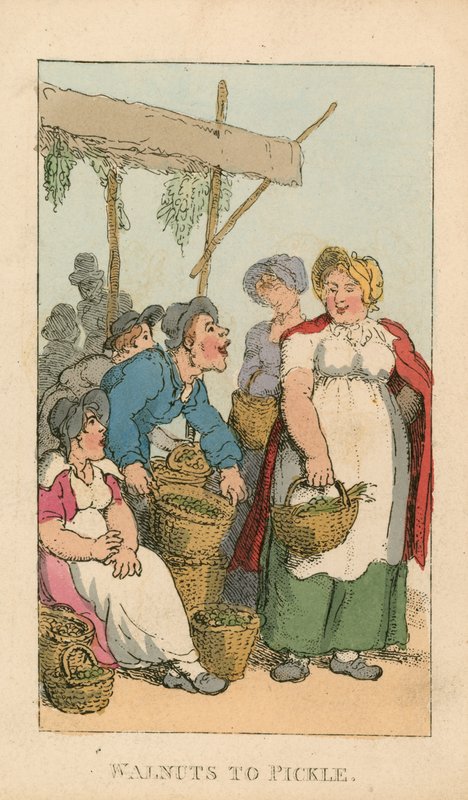 Nozes, para, pickle de Thomas Rowlandson