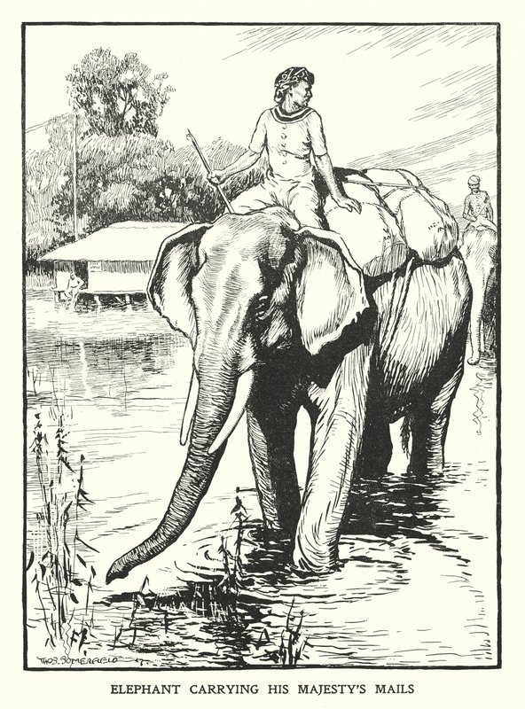 Elefante transportando a correspondência de Sua Majestade (litografia) de Thomas Somerfield