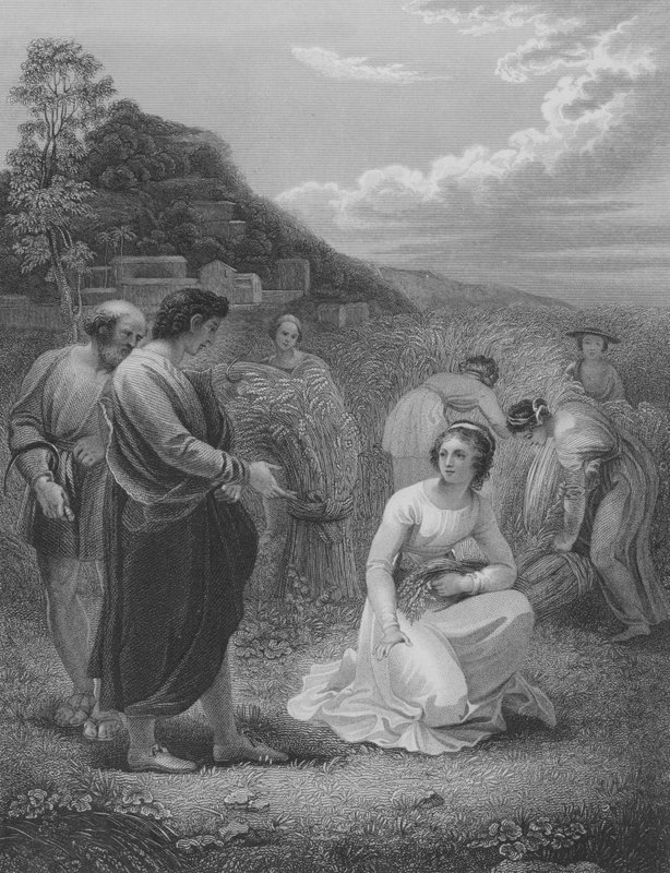Rute Recolhendo, Rute 2, Verso 1-15 de Thomas Stothard