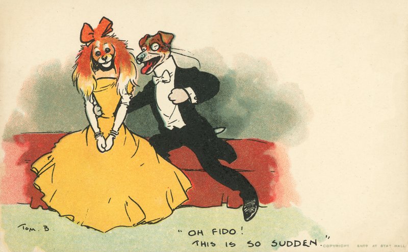 Cães vestidos como um casal romântico (cor litho) de Tom Browne