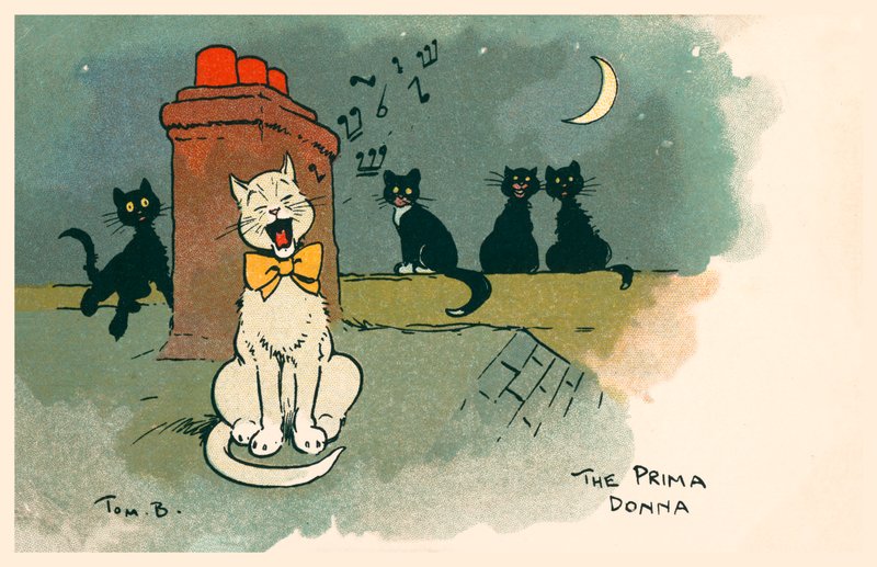 A Prima Donna (litografia a cores) de Tom Browne