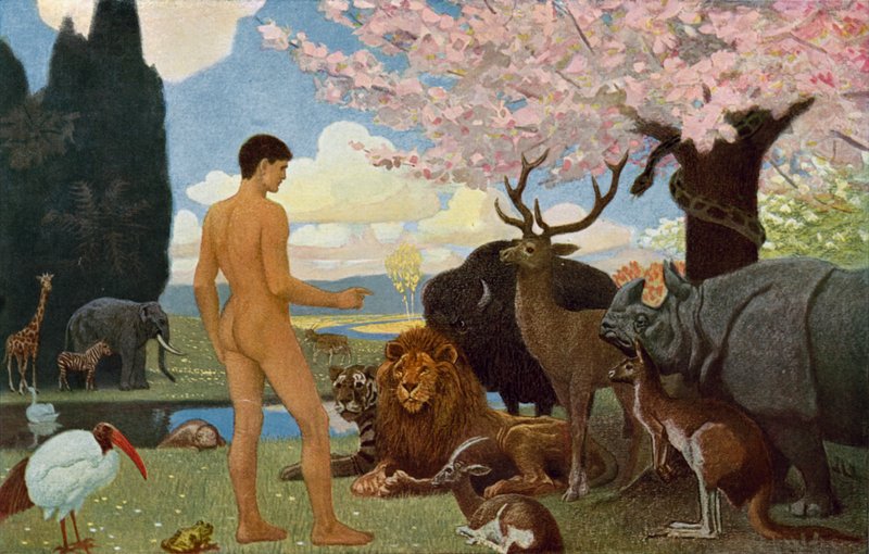 Adam dá aos animais seus nomes de Unbekannt Unbekannt