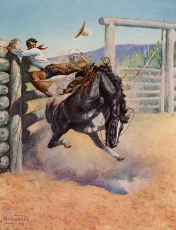 Smoky o cavalo de vaca de Unbekannt Unbekannt