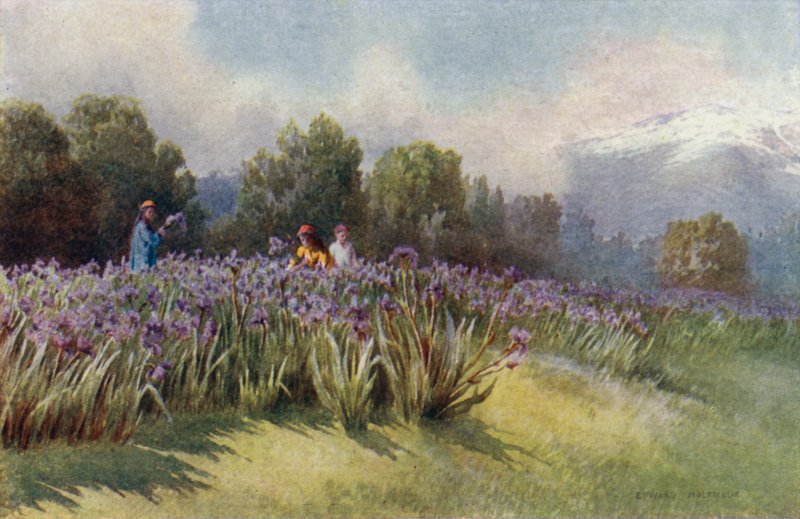 Primavera na Caxemira de Unbekannt Unbekannt