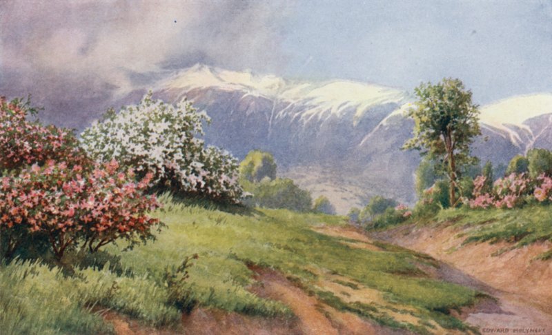A terra das rosas de Unbekannt Unbekannt