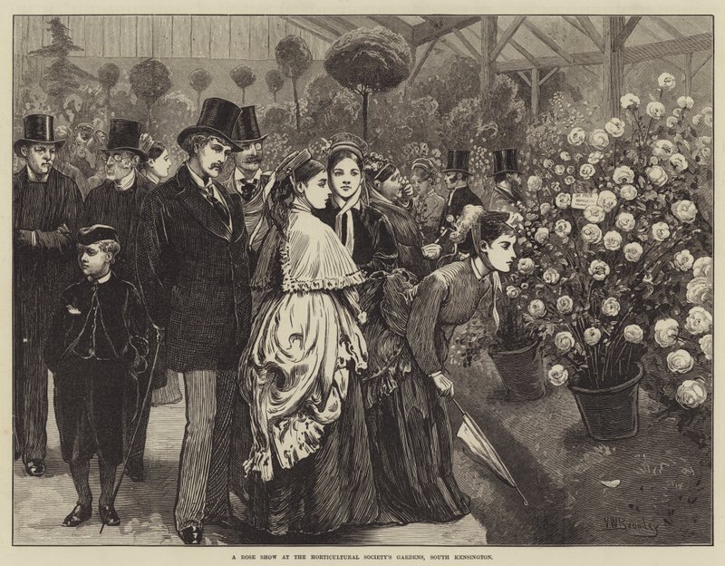 Um espetáculo de rosas nos jardins da Sociedade Hortícola, South Kensington de Valentine Walter Lewis Bromley