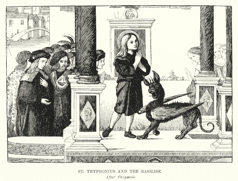 Santo Trifônio e o Basilisco (gravura) de Vittore (after) Carpaccio
