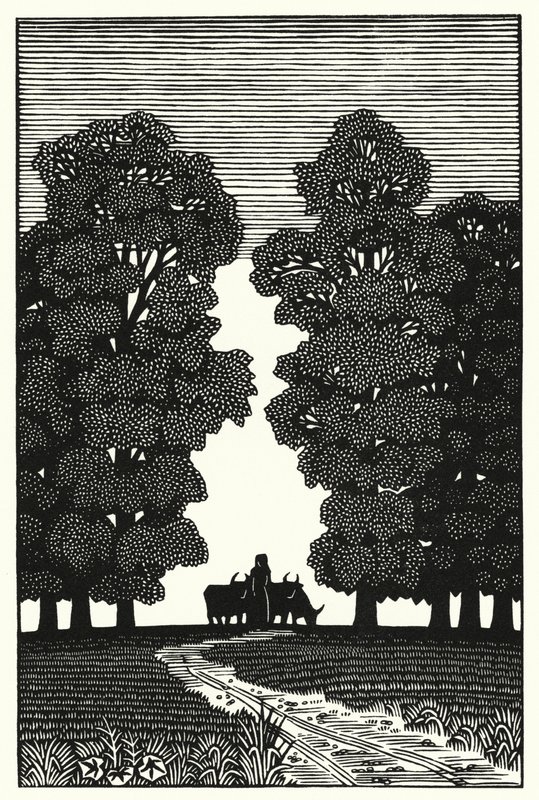 Ilustração para Tess Of The DUrbervilles de Thomas Hardy (gravura) de Vivien Gribble