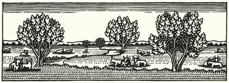 Ilustração para Tess Of The DUrbervilles de Thomas Hardy (gravura) de Vivien Gribble