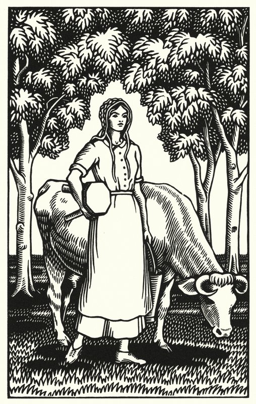 Ilustração para Tess Of The DUrbervilles de Thomas Hardy (gravura) de Vivien Gribble