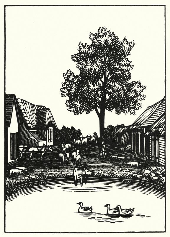 Ilustração para Tess Of The DUrbervilles de Thomas Hardy (gravura) de Vivien Gribble