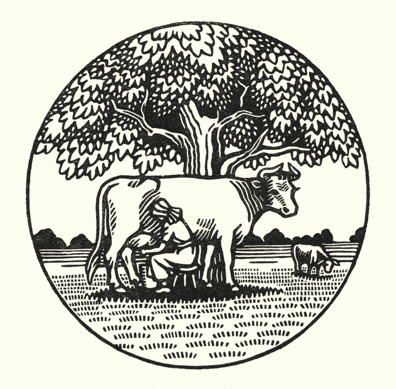 Ilustração para Tess Of The DUrbervilles de Thomas Hardy (gravura) de Vivien Gribble