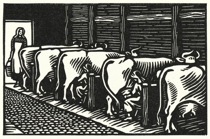 Ilustração para Tess Of The DUrbervilles de Thomas Hardy (gravura) de Vivien Gribble
