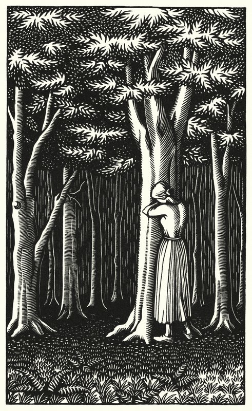 Ilustração para Tess Of The DUrbervilles de Thomas Hardy (gravura) de Vivien Gribble