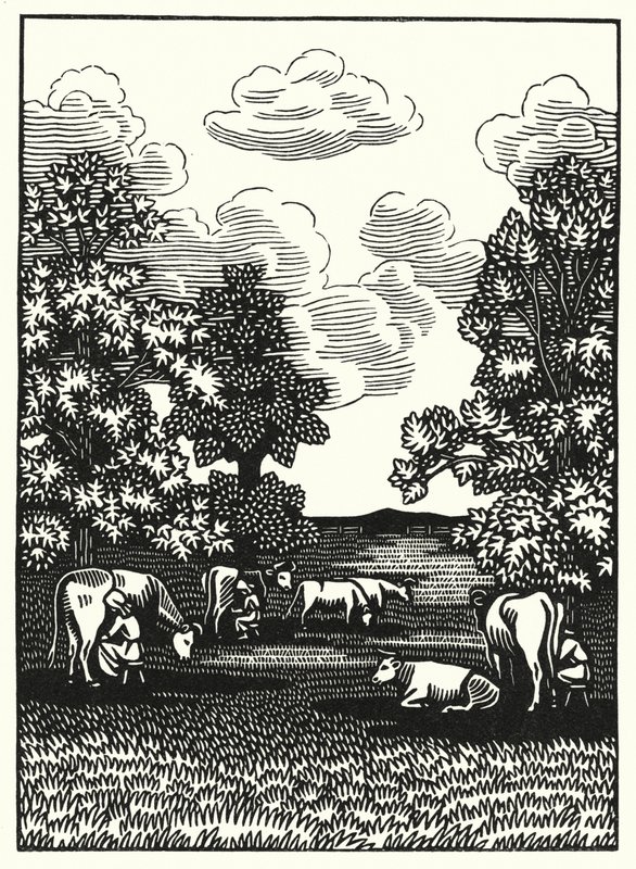 Ilustração para Tess Of The DUrbervilles de Thomas Hardy (gravura) de Vivien Gribble