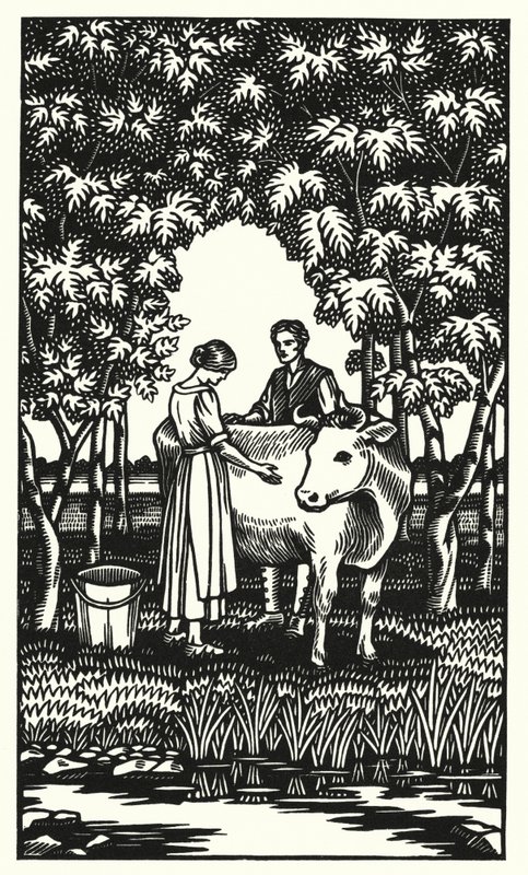 Ilustração para Tess Of The DUrbervilles de Thomas Hardy (gravura) de Vivien Gribble