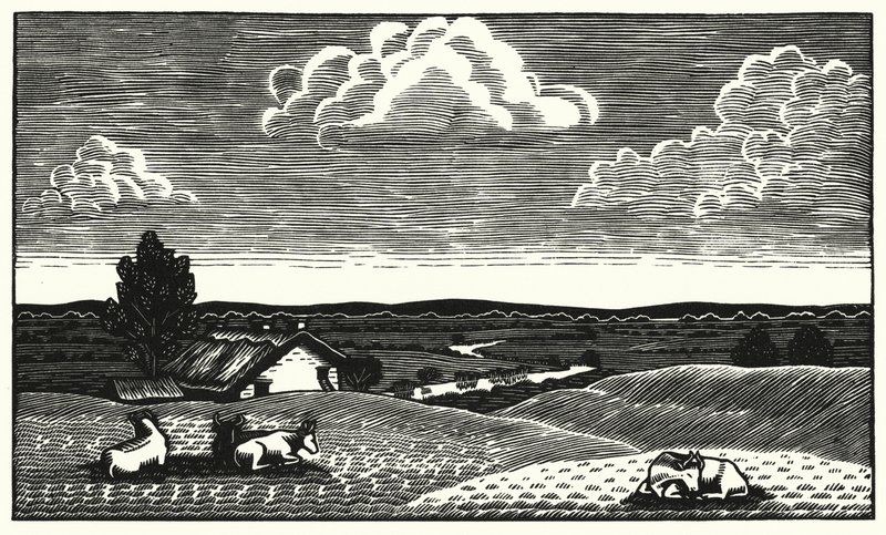 Ilustração para Tess Of The DUrbervilles de Thomas Hardy (gravura) de Vivien Gribble