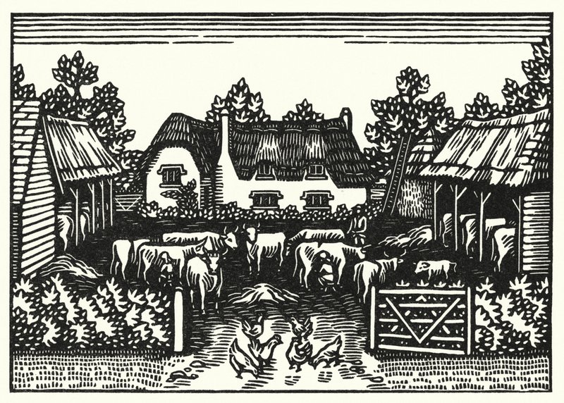 Ilustração para Tess Of The DUrbervilles de Thomas Hardy (gravura) de Vivien Gribble