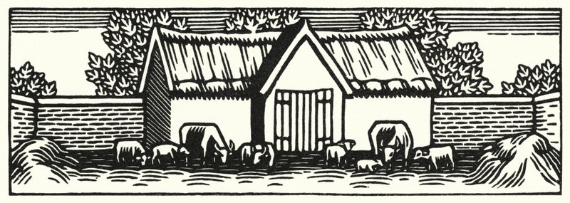 Ilustração para Tess Of The DUrbervilles de Thomas Hardy (gravura) de Vivien Gribble
